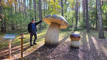 Nadleśnictwo Kliniska