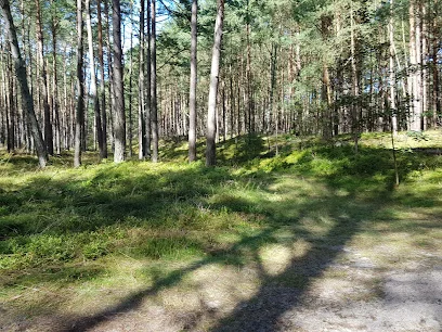 Puszcza Goleniowska